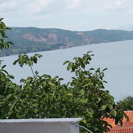 Marini Lini